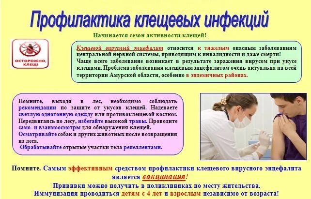 Заболевания передающиеся клещом