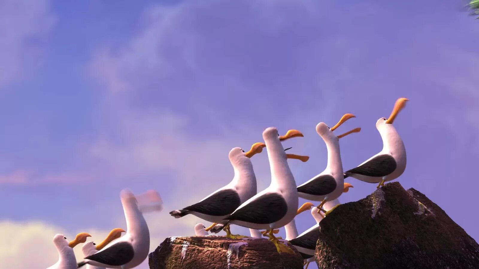 Песня дай дай дам дам. Чайки мультфильм в поисках Немо. Чайка из мультфильма. Чайки из Немо. Чайки Мадагаскар.