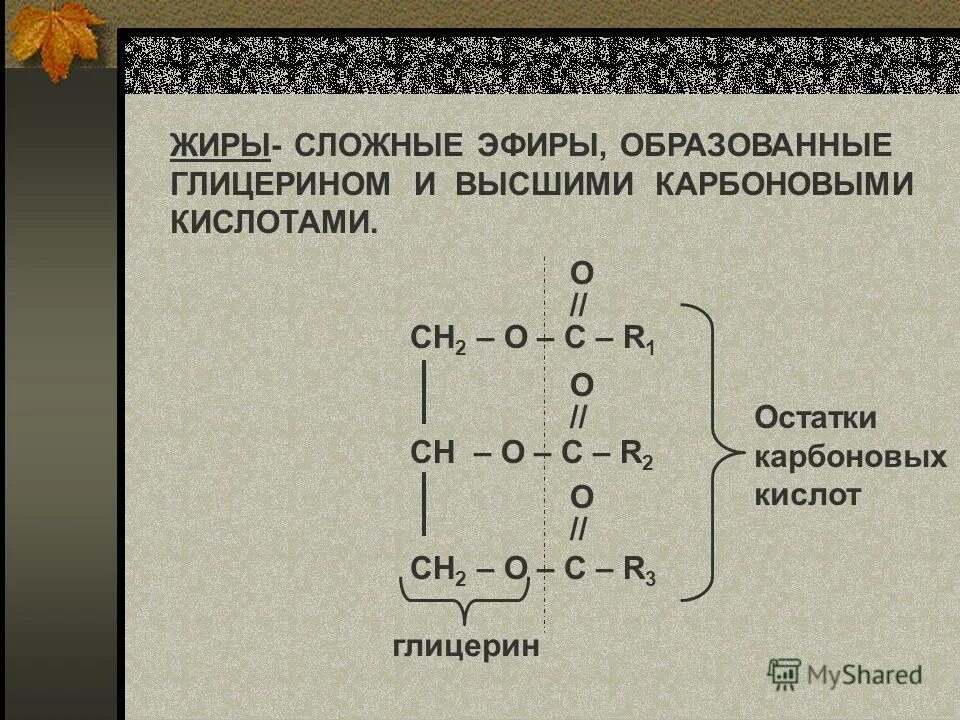 жиры органическая химия. общие формулы жиров жиров. жиры образуют. реакции образования простых и сложных липидов. образование жира из глицерина и стеариновой кислоты.