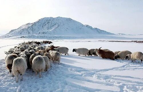 Самая холодная страна. Холодные Северные страны. Какая самая холодная Страна. Холодная Страна Монголия. 10 Самых холодных стран.
