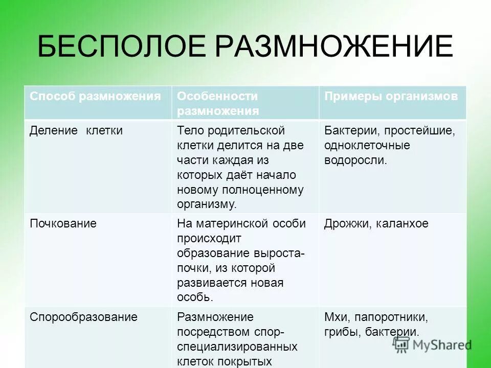 Каковы особенности бесполого размножения 6 класс