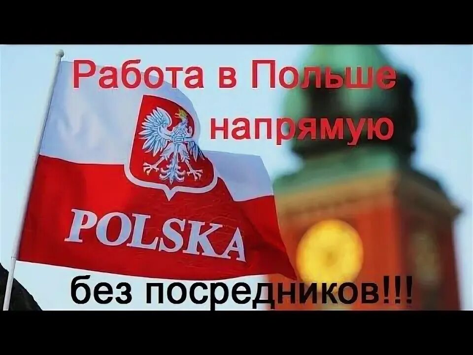 Работа в польше работодатель. Работа в польше работодатель