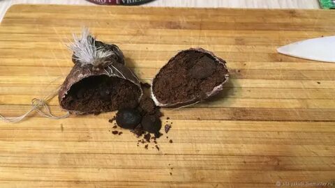 Мускус кабарги что это такое