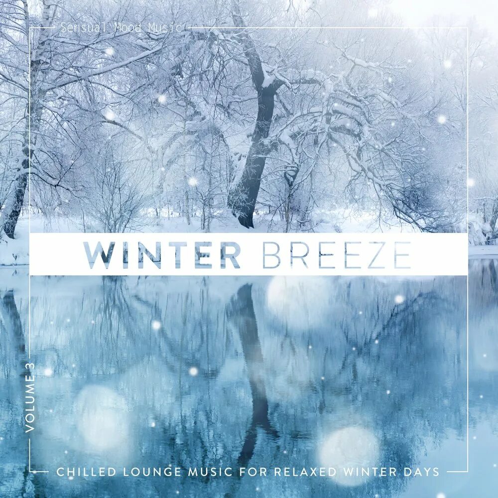 The winter album. Winter album чей. Книга вдохновения зимние рецепты. Черный майк зимний альбом. Winter album чей.