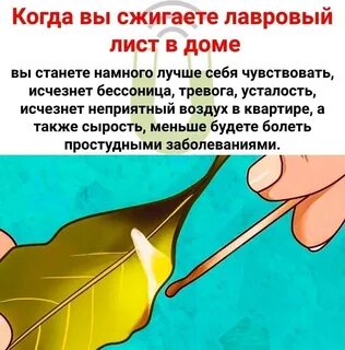 Зачем поджигать лавровый лист в квартире