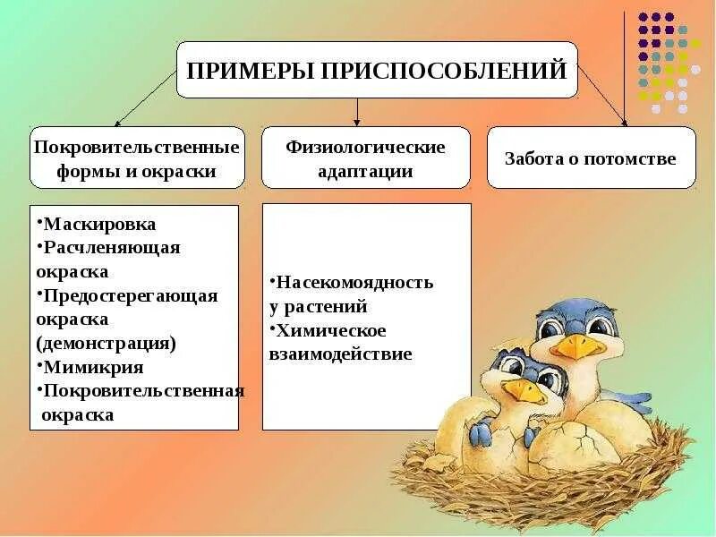 Адаптация к условиям среды примеры. Примеры приспособления организмов к среде обитания. Примеры приспособленности организмов к среде обитания. Приспособленность к среде обитания. Приспособление организмов к условиям среды.