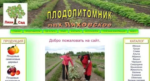Каталоги плодопитомников