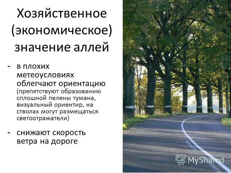 экономическое значение транспорта. железная дорога для презентации. роль транспорта в экономике. экономическое значение дороги. значение транспорта.
