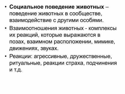4 социальное поведение животных
