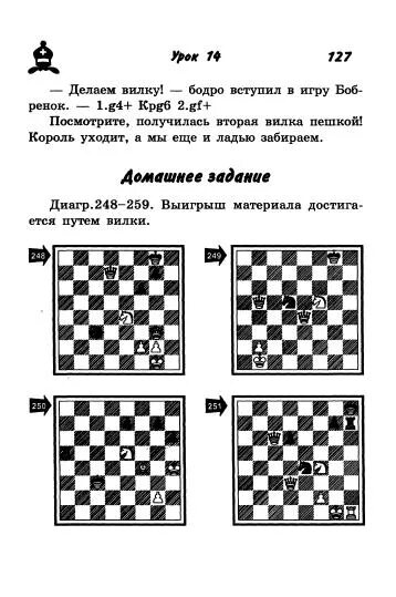 Программа шахматы 2 класс. Программа шахматы 2 класс