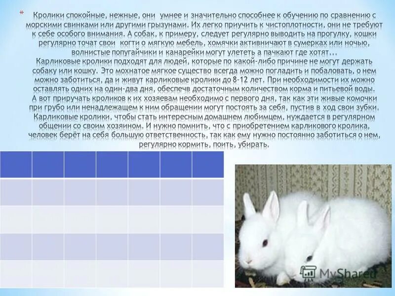 Где обитают кролики
