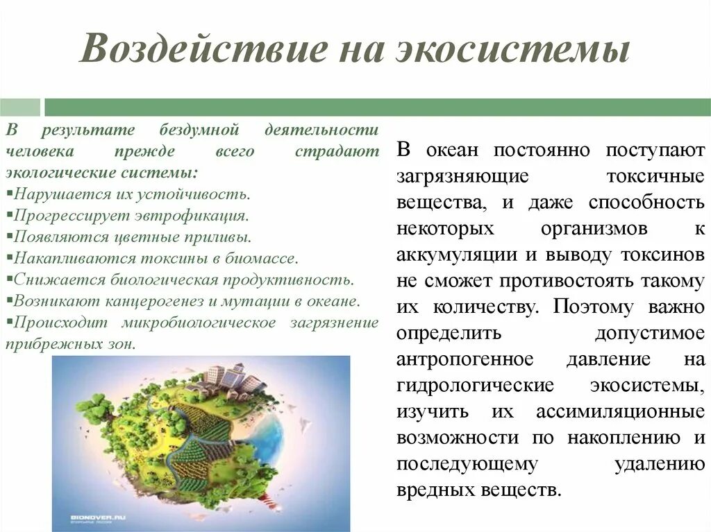 Биологическое разнообразие глобальные экологические проблемы