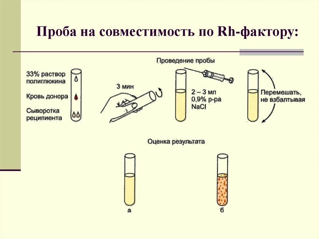 Совместимость группы крови донора и реципиента по резус фактору. Проба на индивидуальную совместимость по резус-фактору. Проведение пробы на индивидуальную совместимость по резус-фактору. Проба на совместимость крови по резус фактору.