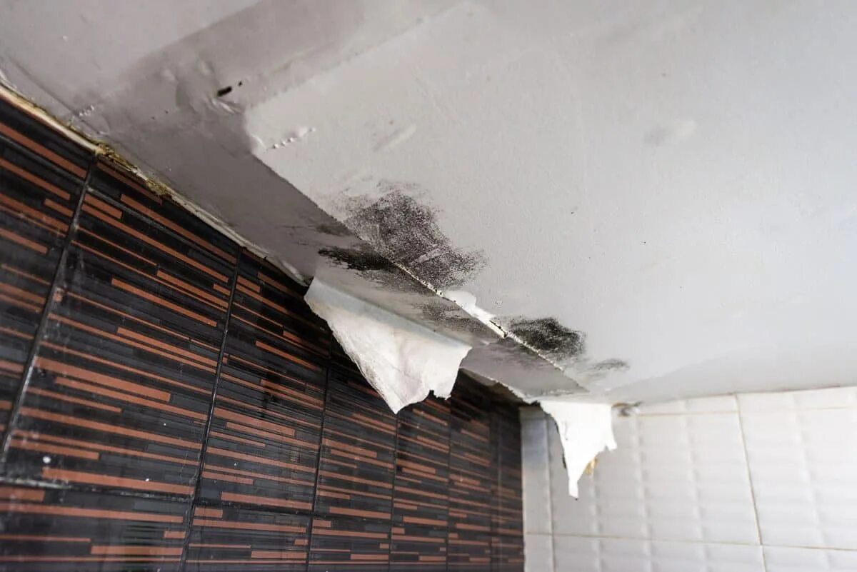 Фото повреждения потолка. Повреждения на потолке из за воды. Протечки дождевой воды через потолок Армстронг фото. The Ceiling is leaking.
