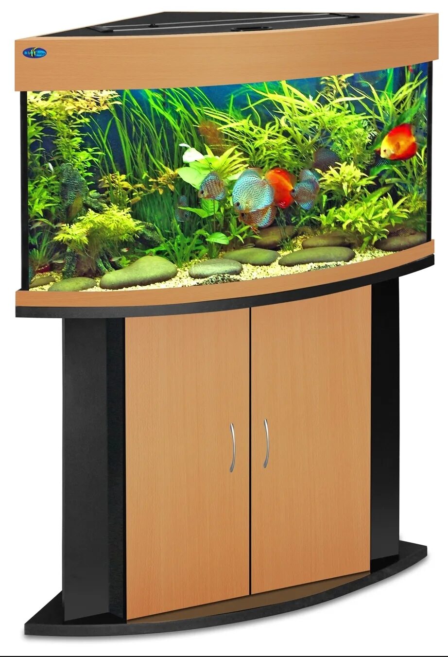 Аквариум 160 литров. Рыбки для аквариума 150. Аквариум aquatlantis fusion horizon 200. 20 gallon long aquarium kit. Аквариум aquatlantis 200 литров.