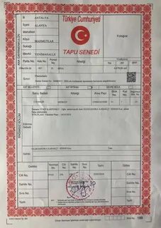 Как выглядит тапа
