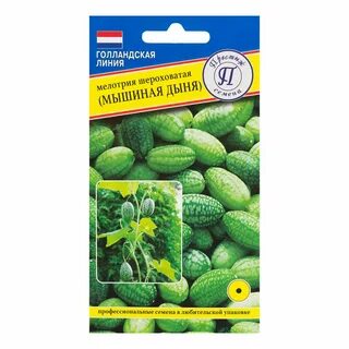 Мелотрия семена