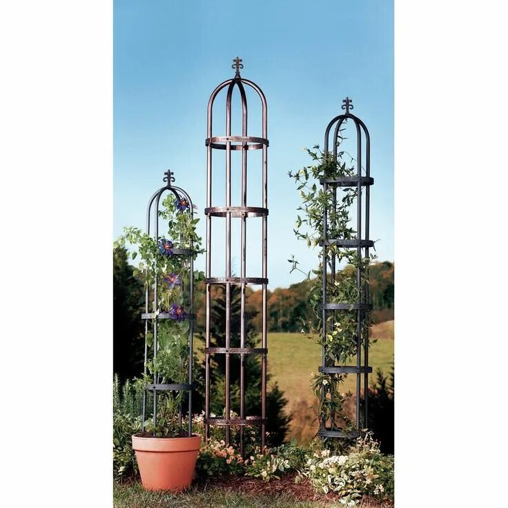 How to Grow Clematis From Planting to Pruning Gardener's Supply Clematis plants,