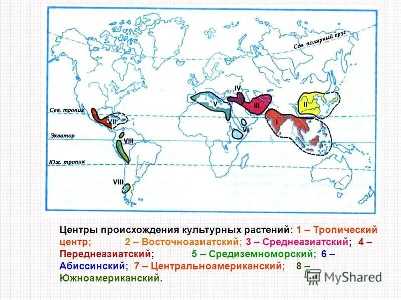 Переднеазиатский центр происхождения культурных растений. Карта Вавилова центры происхождения культурных растений. Абиссинский центр происхождения культурных растений на карте. Переднеазиатский центр происхождения культурных растений на карте. Восточноазиатский центр происхождения культурных