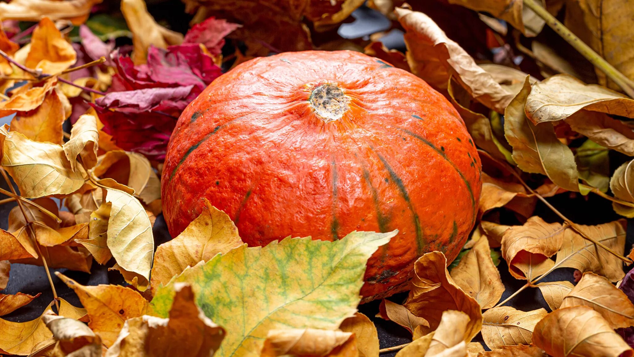 осенние овощи и фрукты. урожай тыквы. натюрморт с хеллоуинской тыквой. осень тыквы хэллоуин. тыква осенью.