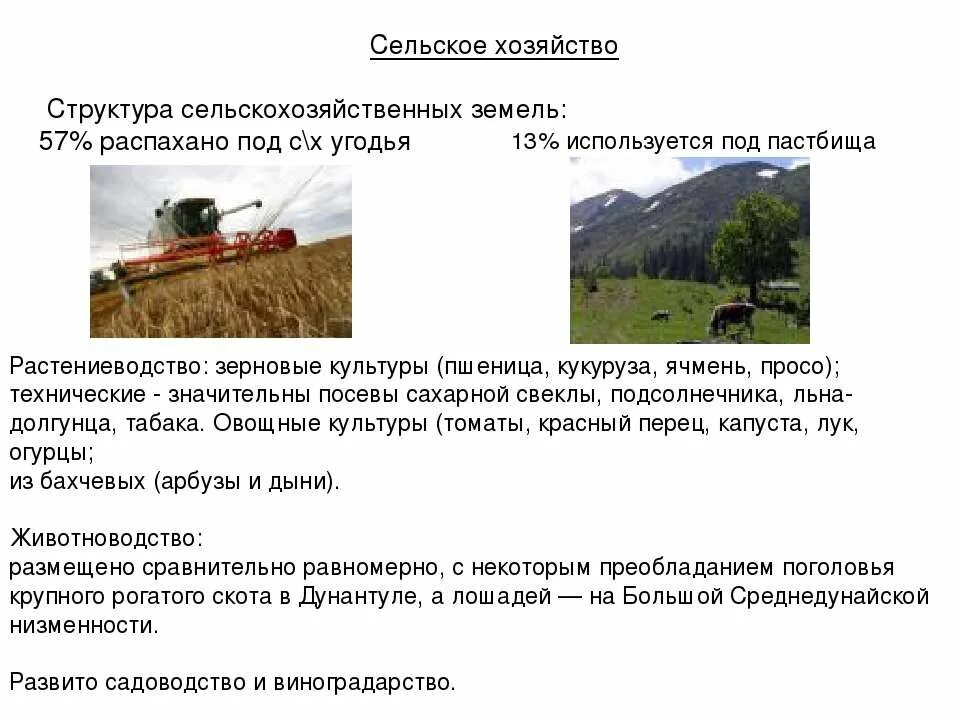 Аграрная структура хозяйства. Аграрная структура хозяйства. Развитые и развивающиеся страны в сельском хозяйстве. Аграрная структура хозяйства. Аграрная структура мирового хоз.