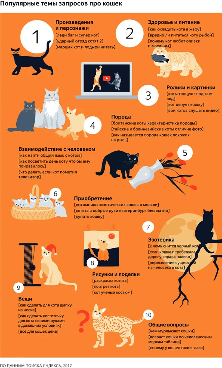 Как кошка стала домашней