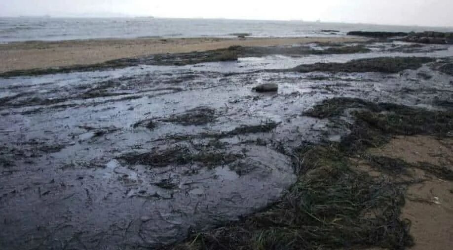 Разлив мазута в черном море как произошло. Загрязнение азовского моря. мазуты береговые. мазут в азовском море.