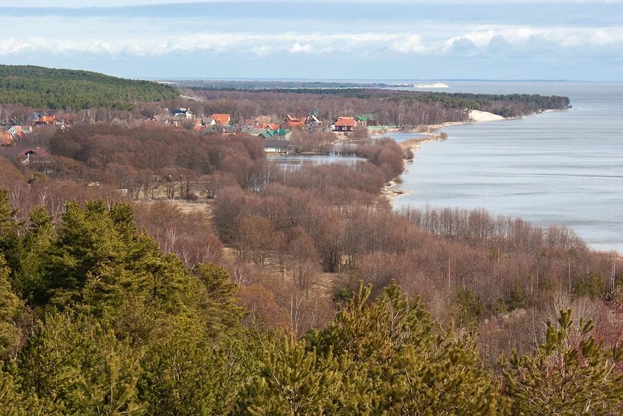 Поселок Морское Куршская коса. Зеленоградск национальный парк Куршская коса смотровая площадка. Зеленоградск высота Эфа. Высота Эфа Куршская коса. Калининград зеленоградск км