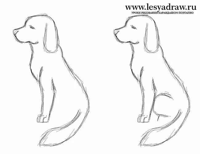 How to Draw a Beagle VIDEO & Step-by-Step Pictures Dog drawing, Dog drawing tuto