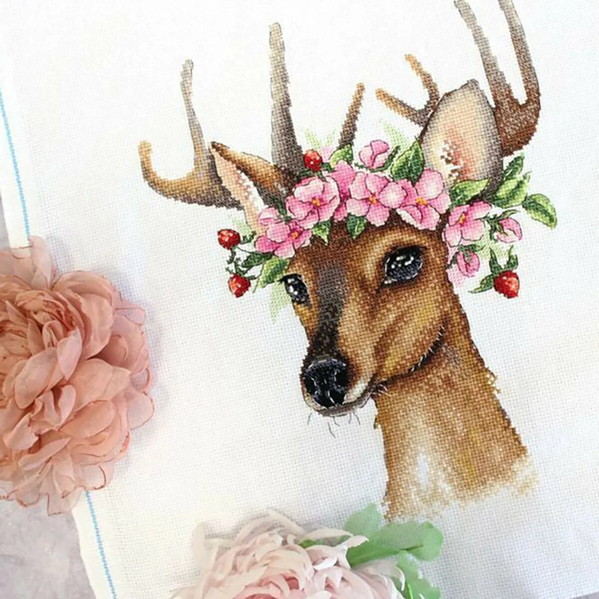 Deer studio