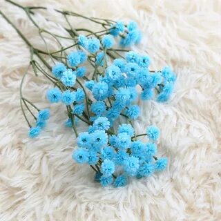 Маленькие цветочки как называются