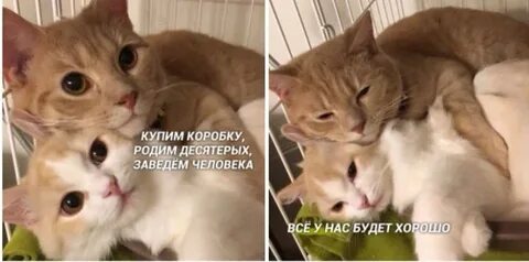 Что может заводить в человеке