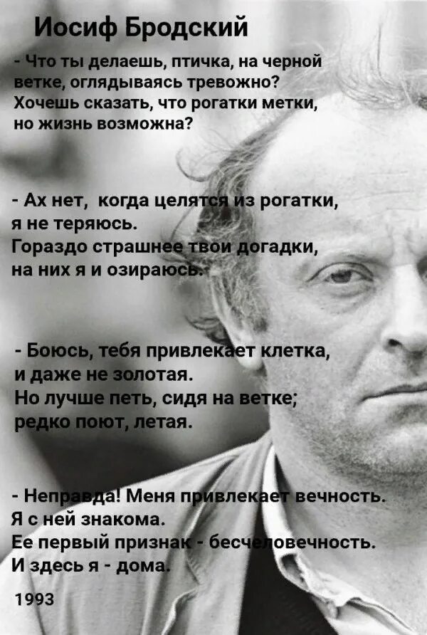 Текст про бродского. Стихотворения Иосифа Бродского. Стихи Бродский Иосиф Бродский. Бродский лучшие стихи. Лулучшие стихи Бродского.