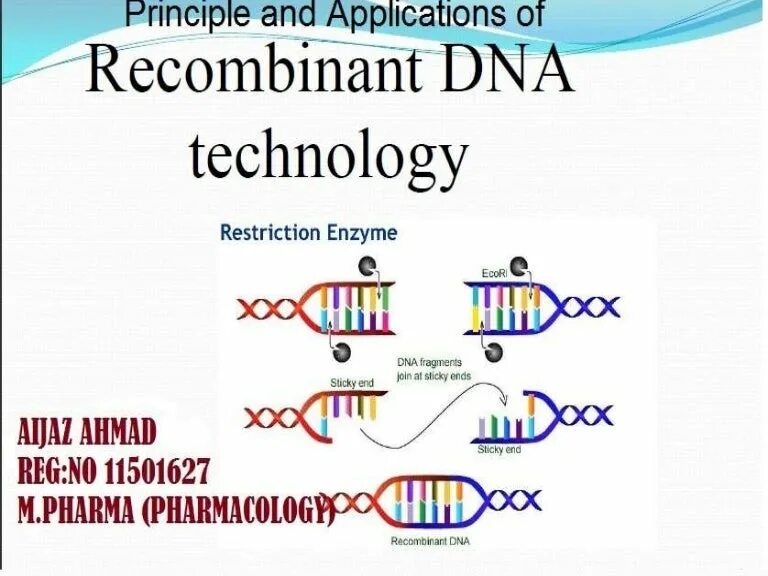 Dna using. Recombinant dna. recombinant dna technology картинки. application of recombinant dna. днк с техникой.