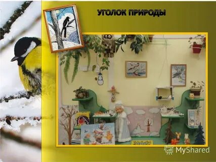 Оформление уголка зима
