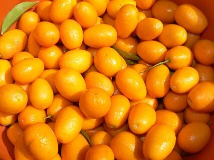 Любая мелкая желтая