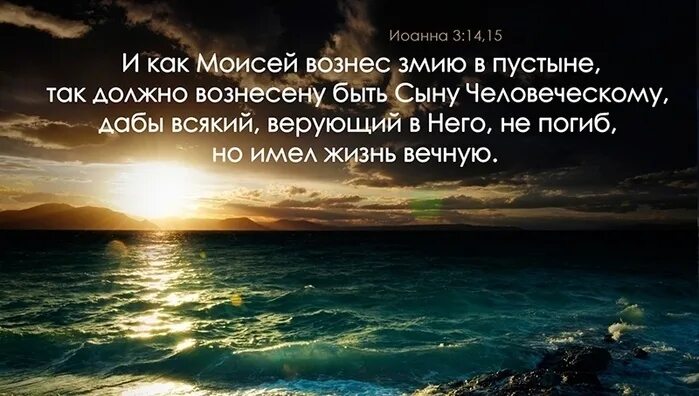 Преподобный серафим саровский изречения. Генин афоризмы. Земля у нас одна. Дабы мемы. Преподобный серафим саровский изречения.