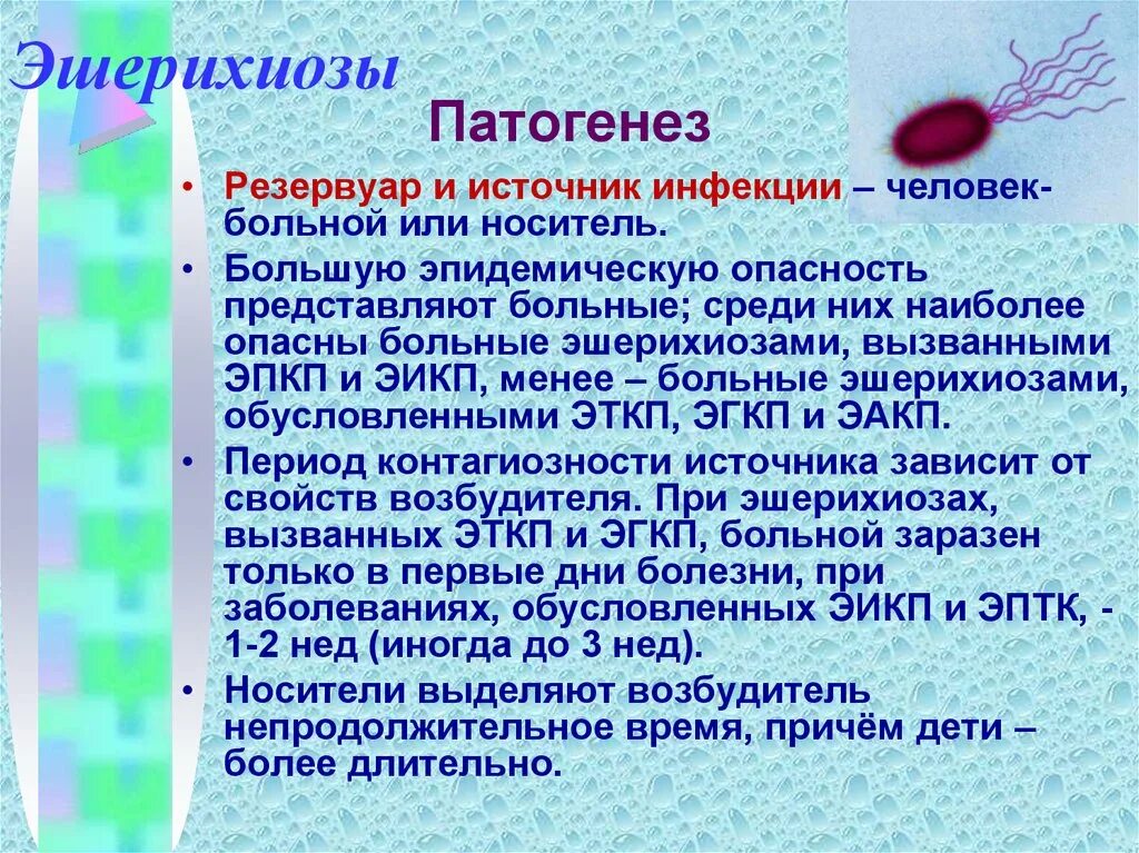 Эшерихиоз (ЭИКП). Эшерихиоз сапроноз. Кишечная палочка эшерихиоз. Энтеропатогенные эшерихиозы. Источник инфекции при сальмонеллезе