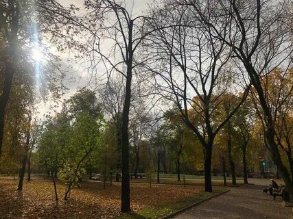 Солнце в ноябре в москве