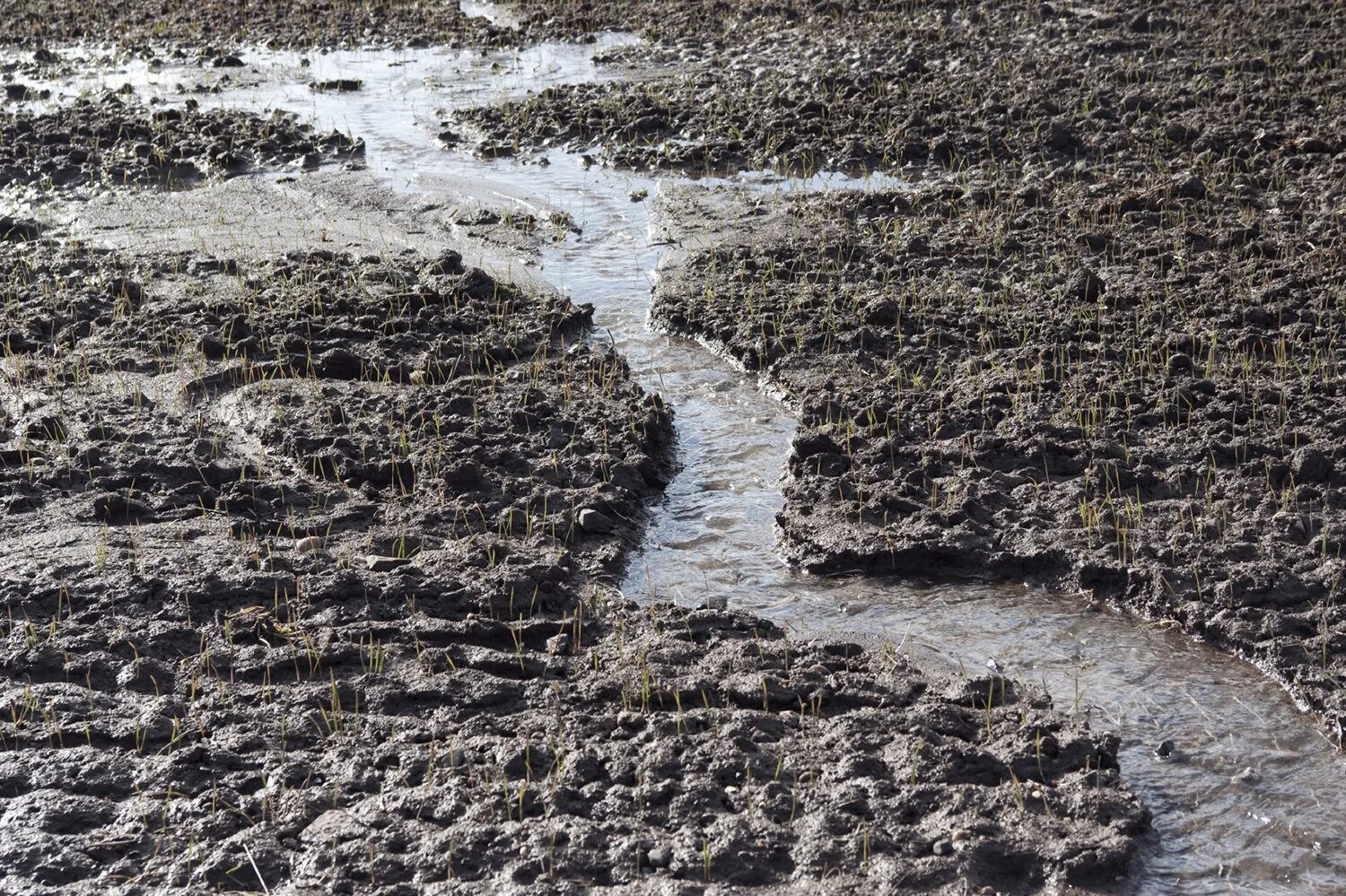 Засоление и эрозия. Дождево капельная эрозия. водная эрозия почв. капельная водная эрозия. ирригационная водная эрозия.