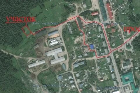 Нефтеюганское лесничество