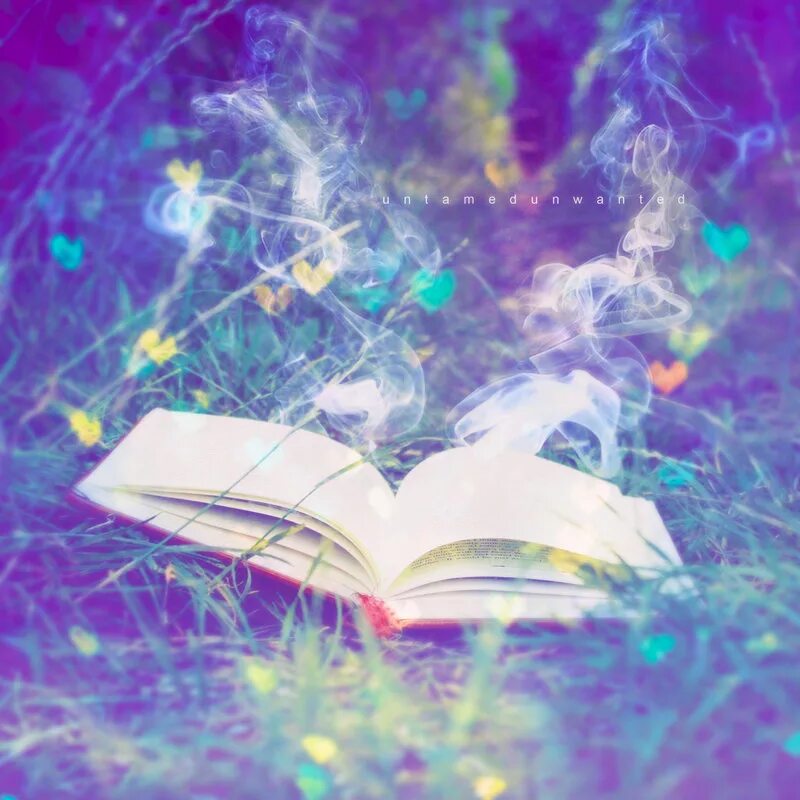 Ее волшебная книга. Волшебная книга. Раскрытая книга. Сказочная книга. Книга волшебства.