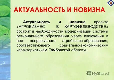 Актуальность и новизна темы