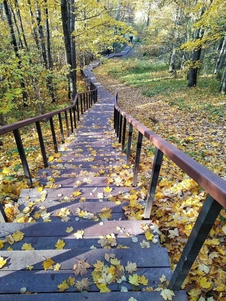 Нагорный парк санкт петербург нагорный парк фото. Ореховая гора дудергофские высоты. нагорный парк дудергофские высоты. воронья гора дудергофские высоты. дудергофские высоты — красное село, нагорный парк.