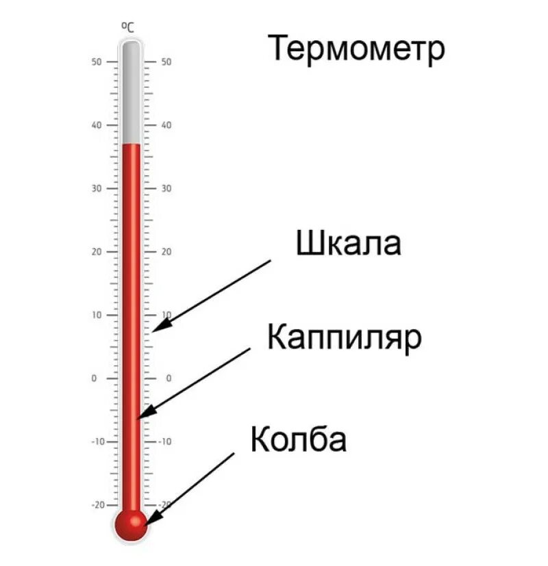 Из каких основных частей состоит термометр. Основные части термометра 2 класс. Название частей из которых состоит термометр 2 класс окружающий мир. Название частей термометра 2 класс.