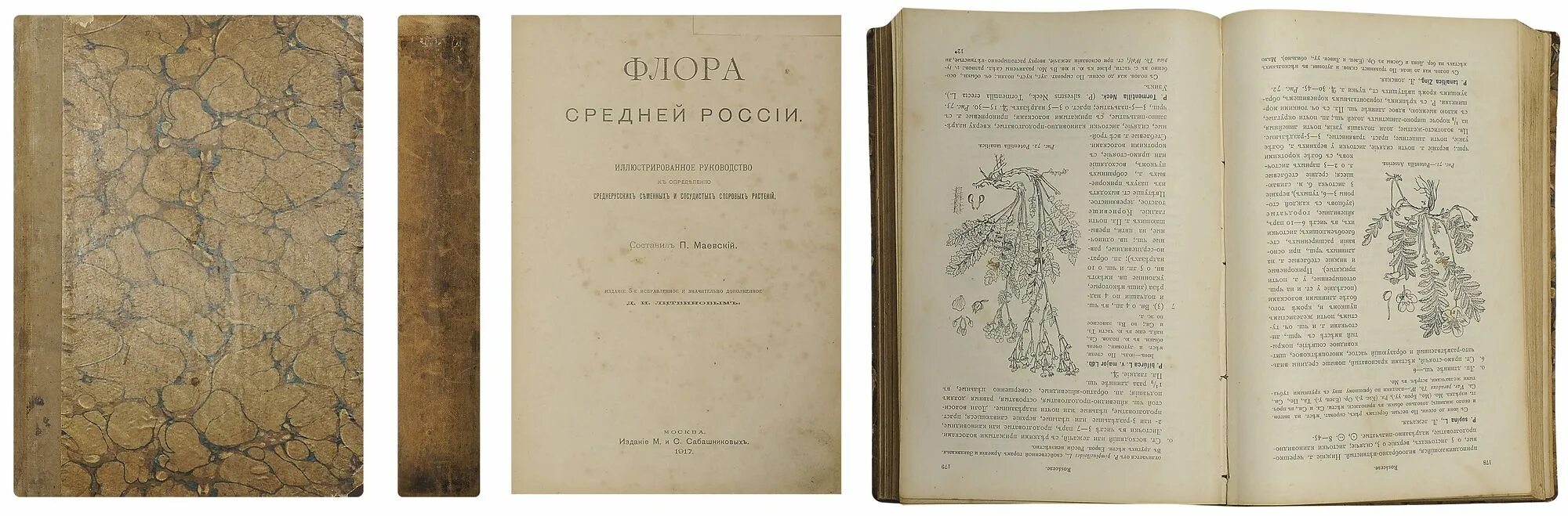 Скрижали мага старое издание. Определитель маевского. Ф. Икона 1860 года. Как продать ф п журн.