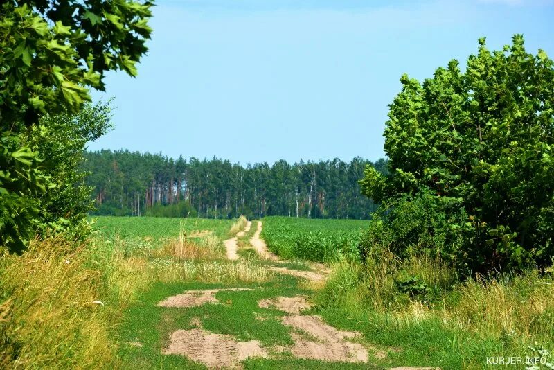 Деревня круглое. Деревня круглое. Деревня круглое раннее. Деревня круглое. Деревня круглое.