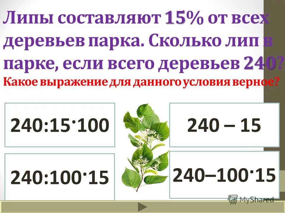 Составит 35 рублей. Сколько лет живет липа. В парке всего 495 деревьев липы составляют 5/9 всех деревьев. Найти 15 % от 240. Сколько лип в гектаре.