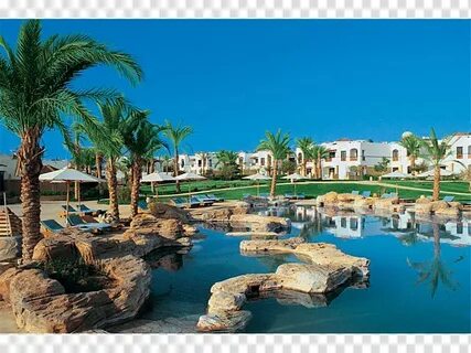 Amphoras beach египет отзывы
