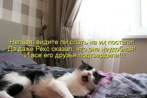 Не возможно увидеть